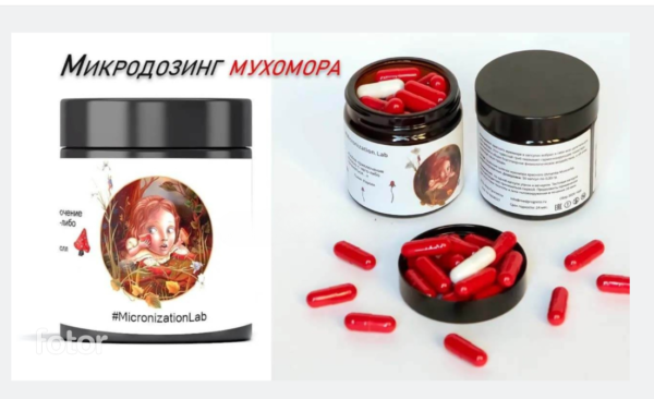 Главная