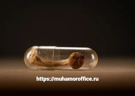 Состав