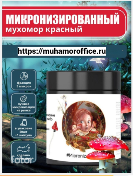 Инструкция